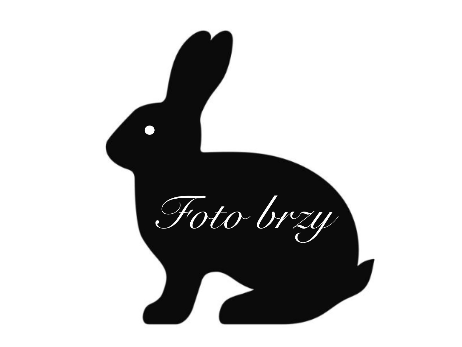 foto brzy